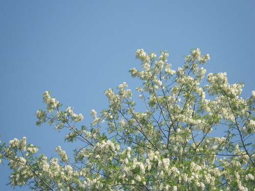 IMGP0494.JPG